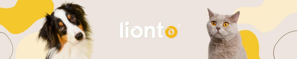 lionto
